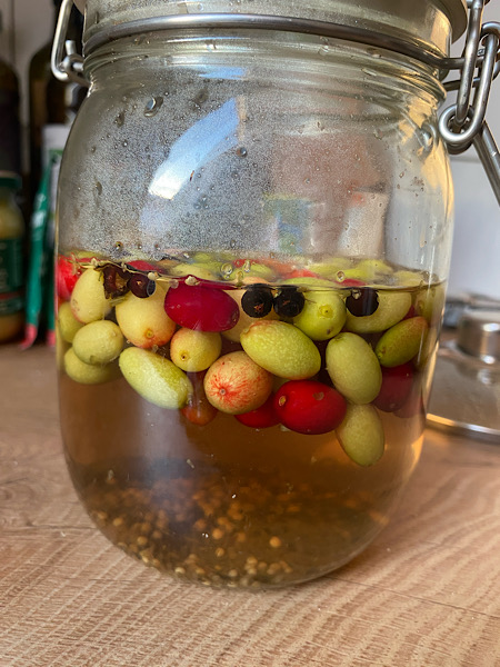 tereza-kreim-152-600x450